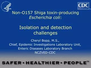 Non-O157 Shiga toxin-producing Escherichia coli : Isolation and detection challenges