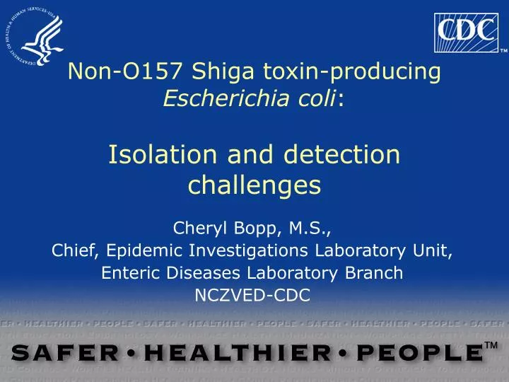 non o157 shiga toxin producing escherichia coli isolation and detection challenges