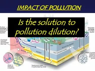 IMPACT OF POLLUTION