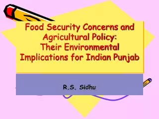 Food Security Concerns and Agricultural Policy: Their Environmental Implications for Indian Punjab