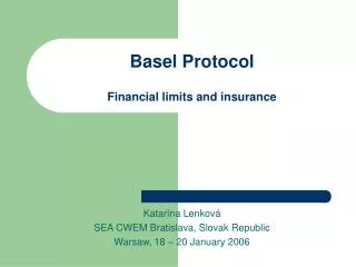 Basel Protocol Financial limits and insurance