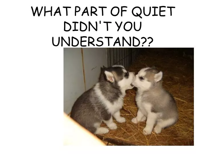 what part of quiet didn t you understand