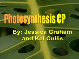 Photosynthesis CP