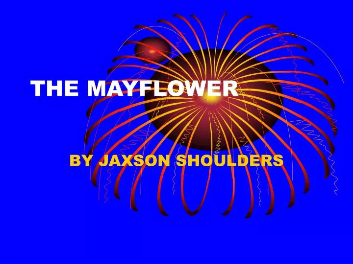 the mayflower