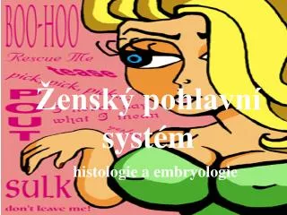 ensk pohlavn syst m