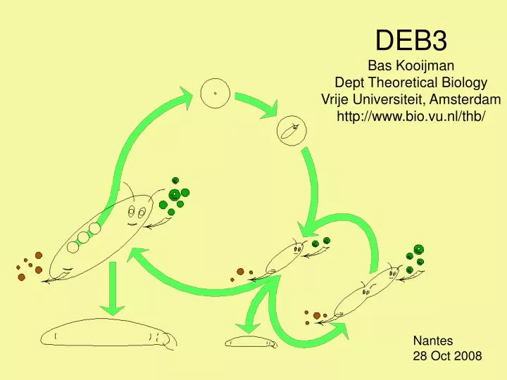 deb3 bas kooijman dept theoretical biology vrije universiteit amsterdam http www bio vu nl thb