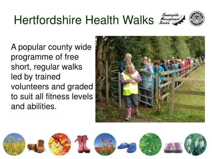 hertfordshire health walks