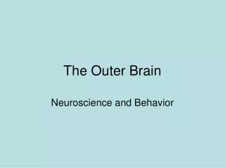The Outer Brain