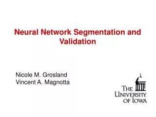 Neural Network Segmentation and Validation