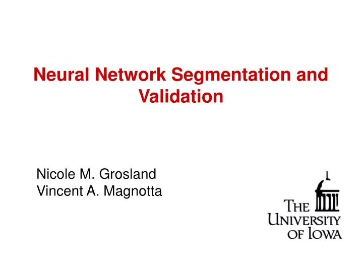 neural network segmentation and validation