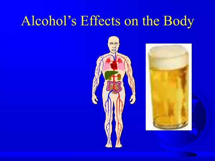 alcohol s effects on the body