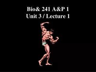 Bio&amp; 241 A&amp;P 1 Unit 3 / Lecture 1