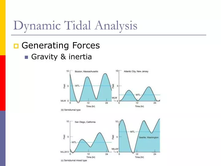 dynamic tidal analysis