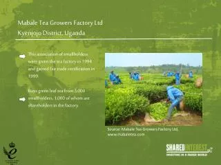 Mabale Tea Growers Factory Ltd Kyenjojo District, Uganda