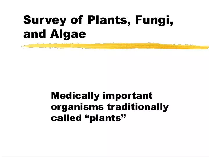 survey of plants fungi and algae