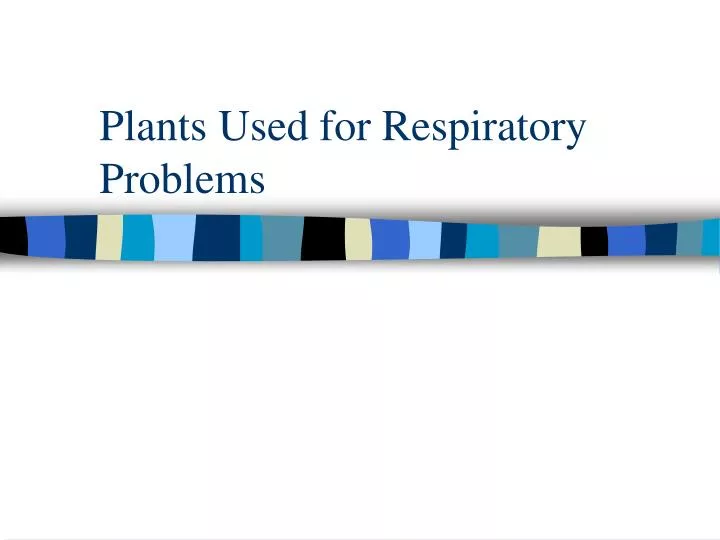 plants used for respiratory problems