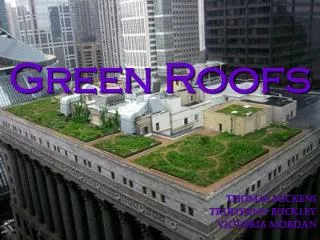 Green Roofs