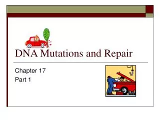 DNA Mutations and Repair