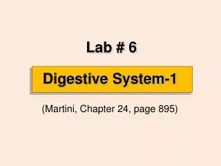 Digestive System-1
