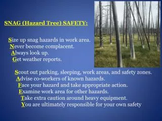 SNAG (Hazard Tree) SAFETY: