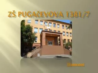 z puga evova 1381 7