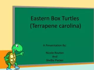 Eastern Box Turtles ( Terrapene carolina ) A Presentation By: Nicole Routon And Shelby Packer