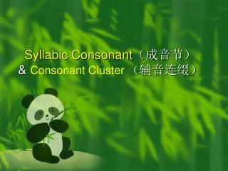 syllabic consonant consonant cluster