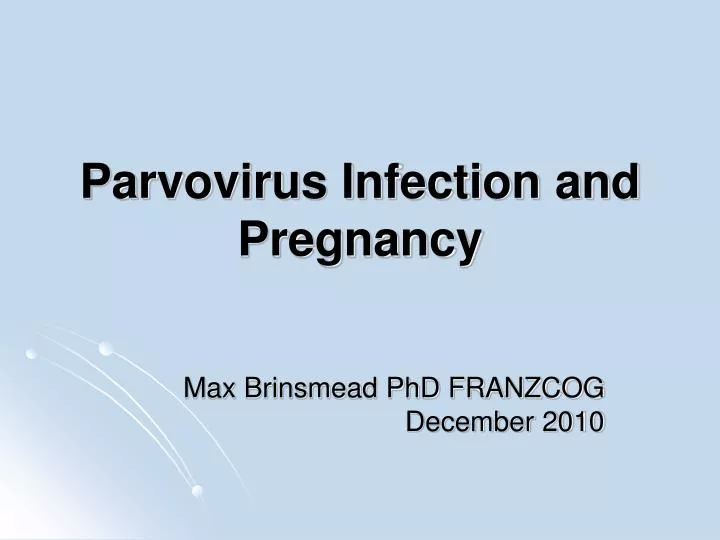parvovirus infection and pregnancy