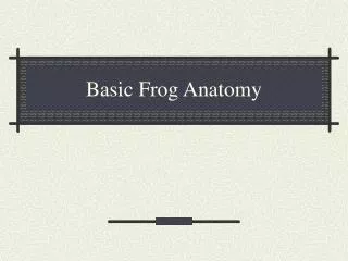 Basic Frog Anatomy