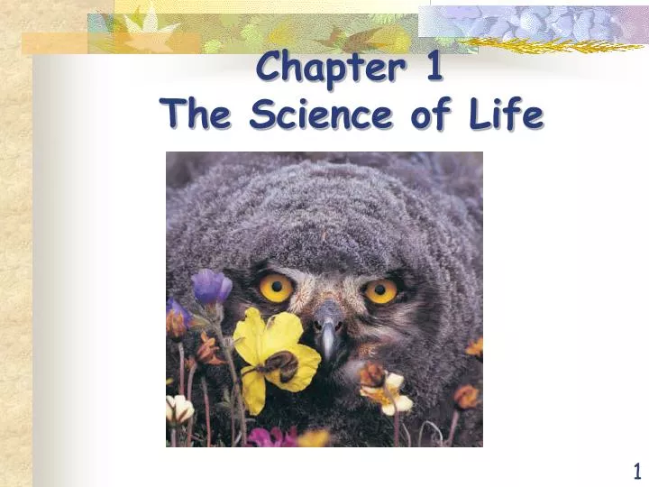 chapter 1 the science of life