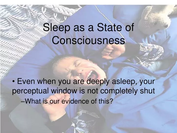 sleep as a state of consciousness