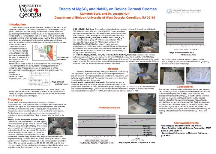 effects of mgso 4 and nano 2 on bovine corneal stromas