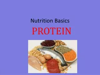 Nutrition Basics