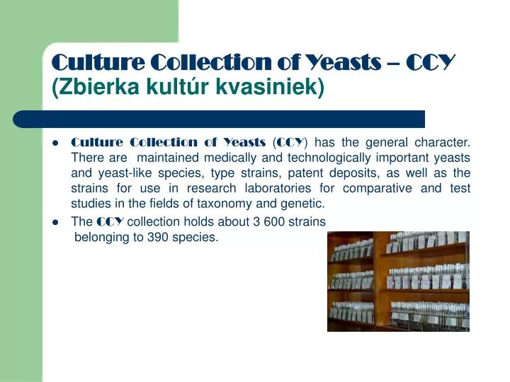 culture collection of yeasts ccy zbierka kult r kvasiniek