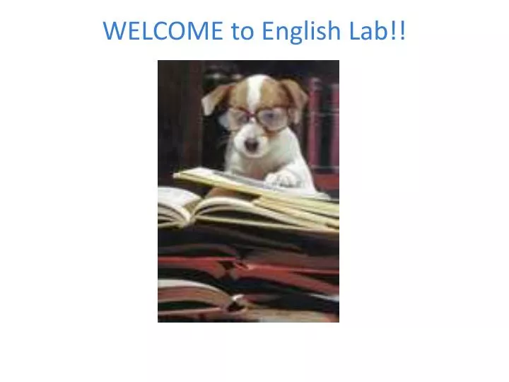 welcome to english lab