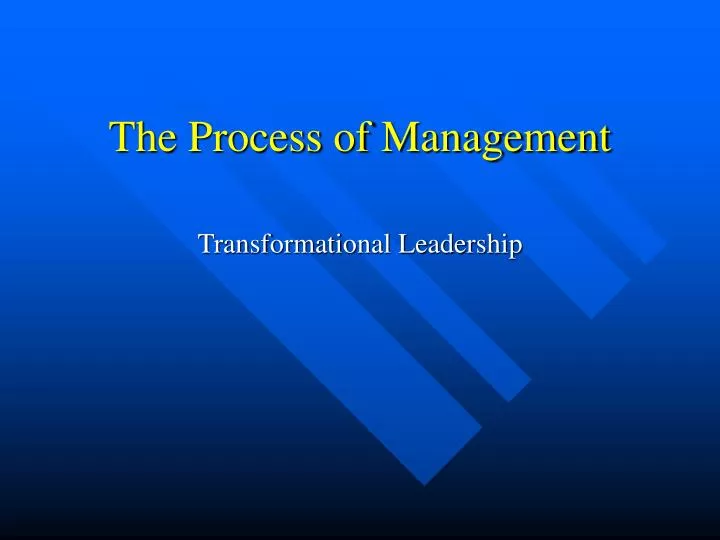 the process of management