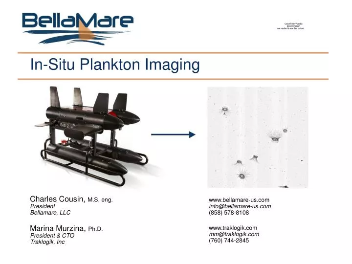 in situ plankton imaging