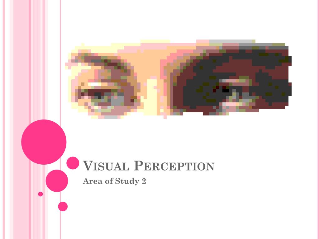 PPT - Visual Perception PowerPoint Presentation, free download - ID:3110933