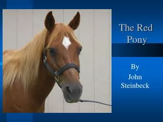 The Red Pony