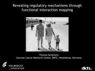 Revealing regulatory mechanisms through functional interaction mapping