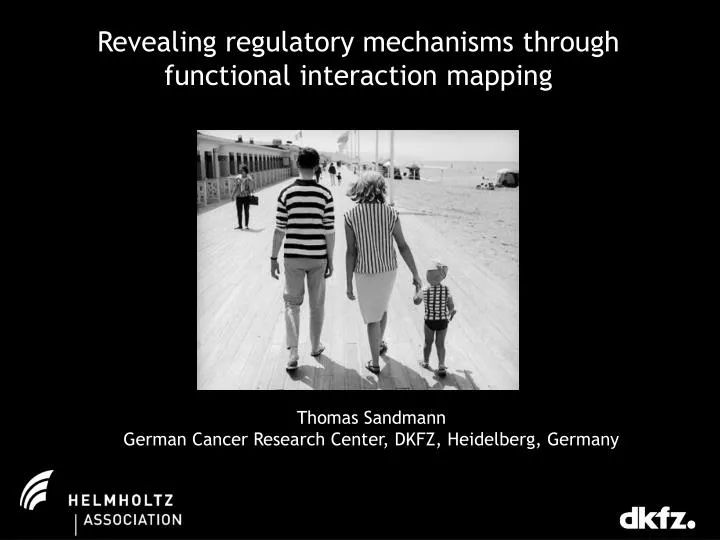 revealing regulatory mechanisms through functional interaction mapping