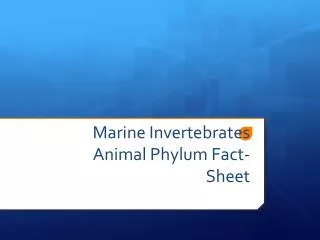 Marine Invertebrates Animal Phylum Fact-Sheet