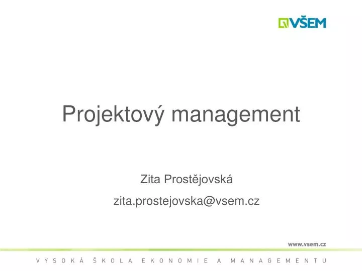 projektov management