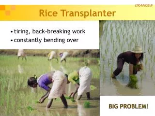 Rice Transplanter