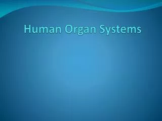 Human Organ Systems