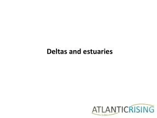 Deltas and estuaries