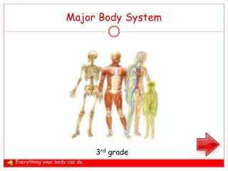 Major Body System