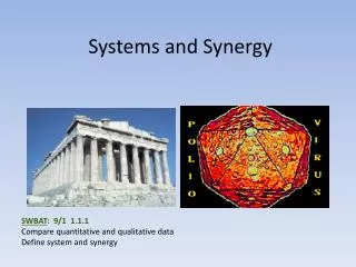 Systems and Synergy