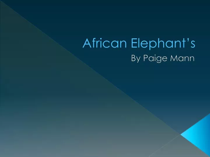african elephant s