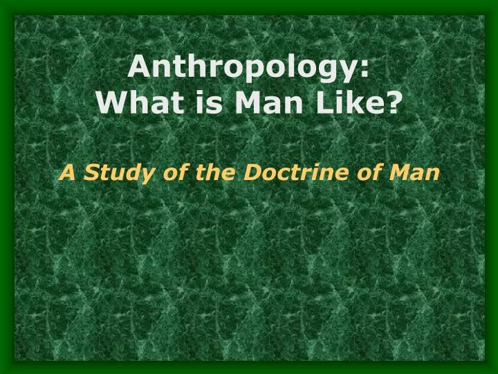 anthropology what is man like